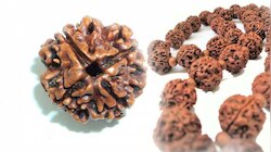 Rudraksha: ರುದ್ರಾಕ್ಷದಲ್ಲಿ ಅಡಗಿದೆ ಜೀವನದ ಪವಾಡ: ಶಂಕರನ ಆಶೀರ್ವಾದ ಪಡೆಯಲು ಇಷ್ಟು ಮುಖದ ರುದ್ರಾಕ್ಷ ಧರಿಸಿದರೆ ಒಳಿತು