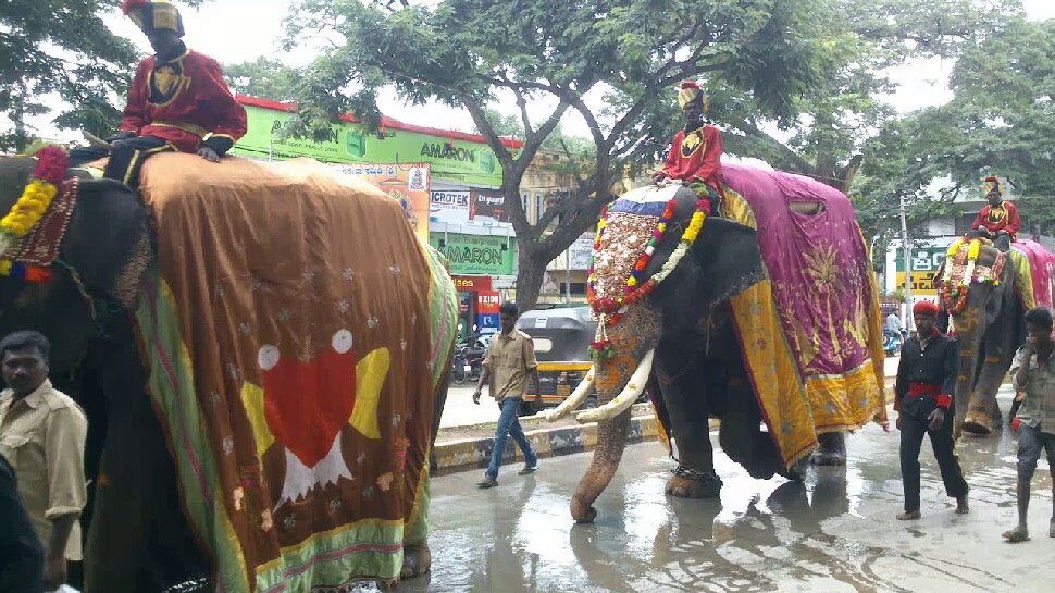 ನಾಡಹಬ್ಬ ದಸರಾ ಗಜಪಯಣಕ್ಕೆ ಮುಹೂರ್ತ ಫಿಕ್ಸ್ ನಾಡಹಬ್ಬ ದಸರಾ ಗಜಪಯಣಕ್ಕೆ ಮುಹೂರ್ತ ಫಿಕ್ಸ್