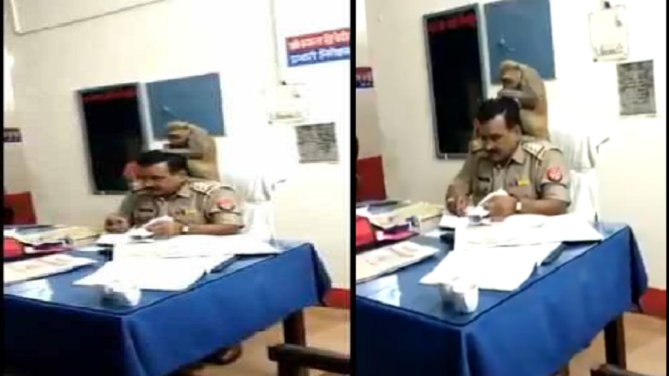Viral Video:ಪೊಲೀಸ್ ಅಧಿಕಾರಿ ಭುಜದ ಮೇಲೆ ಕುಳಿತು ತಲೆ ಕ್ಲೀನ್ ಮಾಡಿದ ಕೋತಿ! Viral Video:ಪೊಲೀಸ್ ಅಧಿಕಾರಿ ಭುಜದ ಮೇಲೆ ಕುಳಿತು ತಲೆ ಕ್ಲೀನ್ ಮಾಡಿದ ಕೋತಿ!
