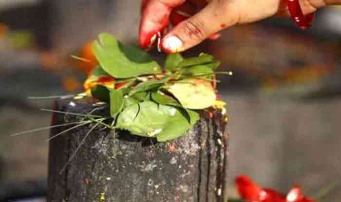 MAHA SHIVARATRI 2020: ಶಿವಲಿಂಗದ ಪೂಜೆ ಕುರಿತು ಲಿಂಗ ಮಹಾಪುರಾಣ ಏನು ಹೇಳುತ್ತದೆ? MAHA SHIVARATRI 2020: ಶಿವಲಿಂಗದ ಪೂಜೆ ಕುರಿತು ಲಿಂಗ ಮಹಾಪುರಾಣ ಏನು ಹೇಳುತ್ತದೆ?
