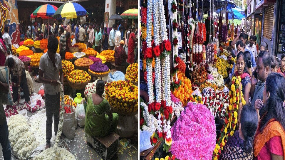 ಗೌರಿ-ಗಣೇಶ ಹಬ್ಬ: ಇಂದಿನಿಂದ 4 ದಿನ ಮೈಸೂರಿನ ಹೆಸರಾಂತ ಮಾರುಕಟ್ಟೆ ಬೇರೆಡೆ ಸ್ಥಳಾಂತರ ಗೌರಿ-ಗಣೇಶ ಹಬ್ಬ: ಇಂದಿನಿಂದ 4 ದಿನ ಮೈಸೂರಿನ ಹೆಸರಾಂತ ಮಾರುಕಟ್ಟೆ ಬೇರೆಡೆ ಸ್ಥಳಾಂತರ