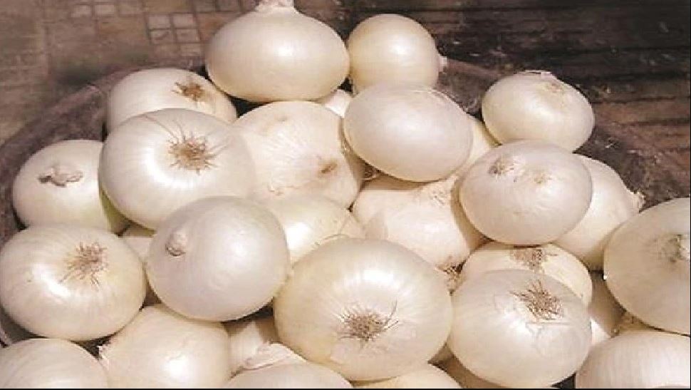 health benefits of white onion for men ಬೇಸಿಗೆಯಲ್ಲಿ ಪುರುಷರು ಬಿಳಿ