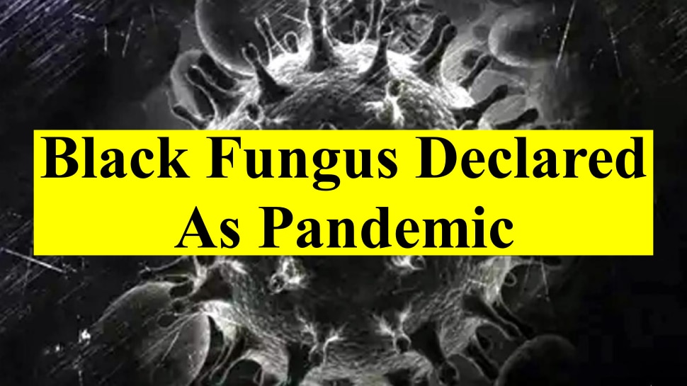 After Corona Rajasthana Government declares black fungus as pandemic