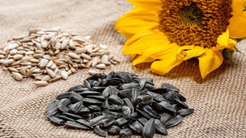 Sunflower Seeds Benefits High BP, diabetes patients must eat a handful of sunflower seeds daily