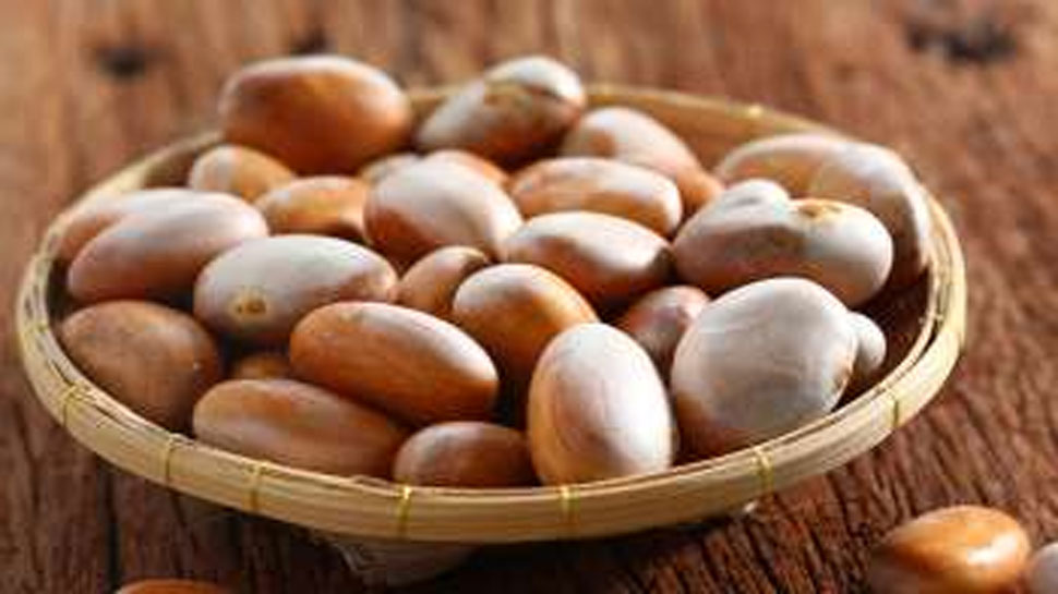 for these reason one must consume jackfruit seeds| Jackfruit Seeds For  Diabetic Patients: ಈ ಅದ್ಭುತ ಕಾರಣಗಳಿಗಾಗಿ ತಿನ್ನಿ ಹಲಸಿನ ಹಣ್ಣಿನ ಬೀಜ Health News  in Kannada