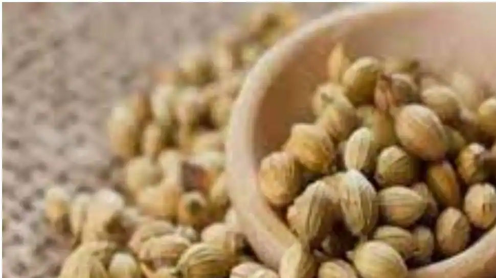 Drink coriander water every morning know its benefits here Coriander