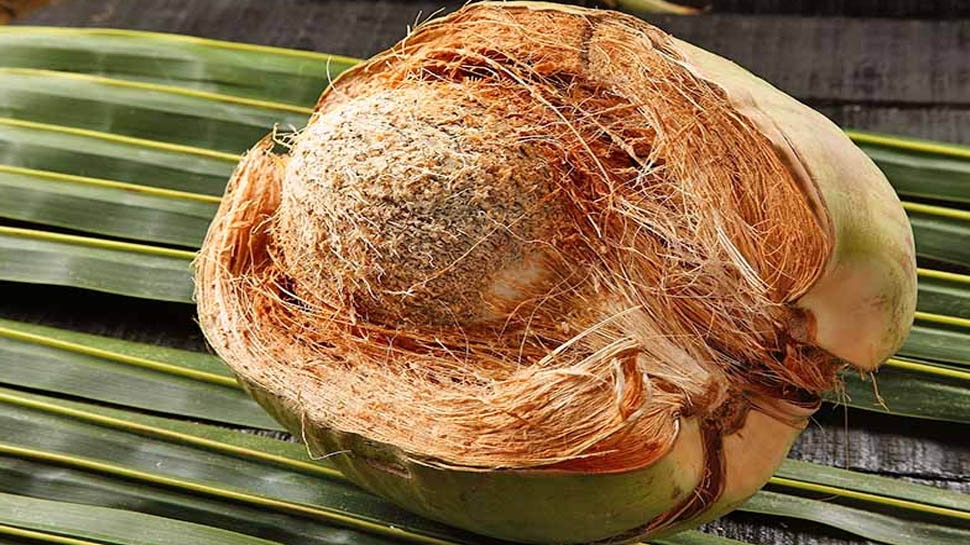 Coconut Husk: ತೆಂಗಿನ ಜುಟ್ಟಿನ ಈ ಲಾಭಗಳ ಕುರಿತು ನಿಮಗೆ ತಿಳಿದಿದೆಯೇ? ಬಿಸಾಡಬೇಡಿ... ಈ ರೀತಿ ಉಪಯೋಗಿಸಿ 