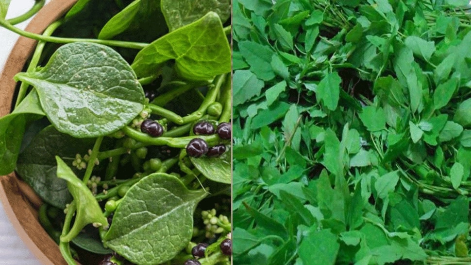 Benefits Of Green Leaves weight will be reduced, you will get amazing