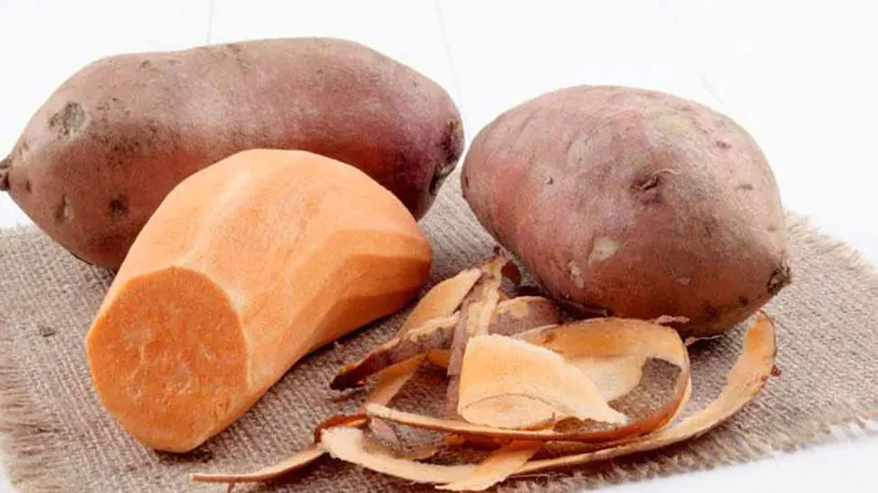 Eating sweet potato&#39;s is very beneficial for health | ಸಿಹಿ ಆಲೂಗಡ್ಡೆ ಸೇವನೆ ಆರೋಗ್ಯಕ್ಕೆ ಹೇಗೆ ಪ್ರಯೋಜನ ನೀಡಲಿದೆ ತಿಳಿಯಿರಿ Lifestyle News in Kannada