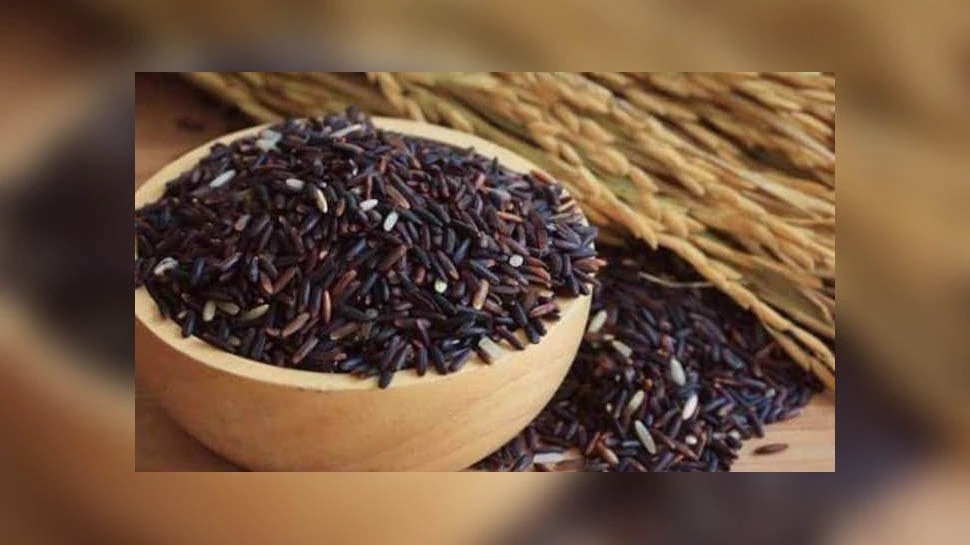 Benefits of Black Rice: ಕಪ್ಪು ಅಕ್ಕಿಯ ಈ ಆರೋಗ್ಯಕರ ಲಾಭಗಳನ್ನು ತಿಳಿದರೆ ನೀವೂ ತಿನ್ನಲು ಆರಂಭಿಸುವಿರಿ