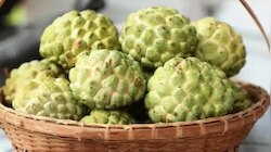 Side Effects of Custard Apple: ಈ ಜನರು ಮರೆತೂ ಸಹ ಸೀತಾಫಲವನ್ನು ತಿನ್ನಲೇಬಾರದು