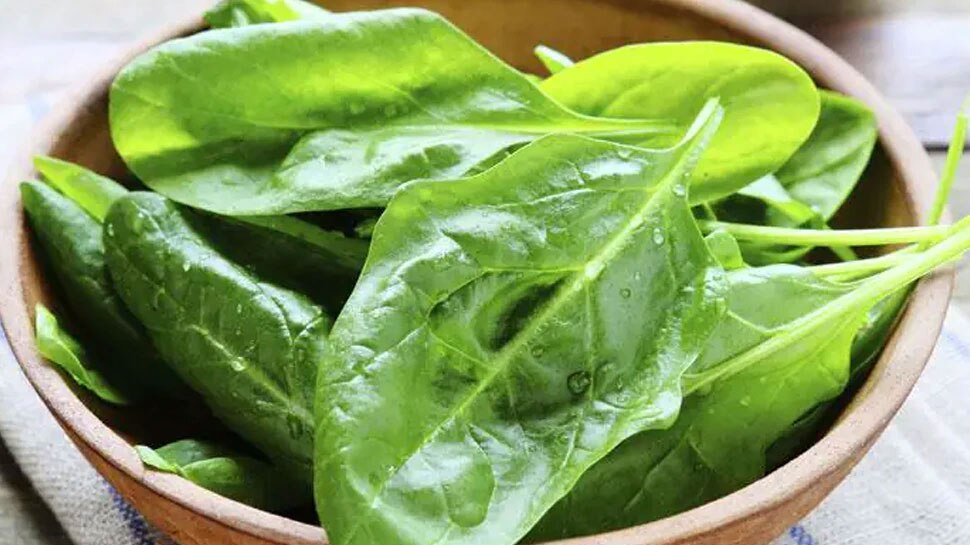 Spinach Side Effects:  ಪಾಲಕ್ ಸೇವಿಸುವ ಮುನ್ನ ಅದರ ಅಡ್ಡಪರಿಣಾಮಗಳು ತಿಳಿದಿರಲಿ  