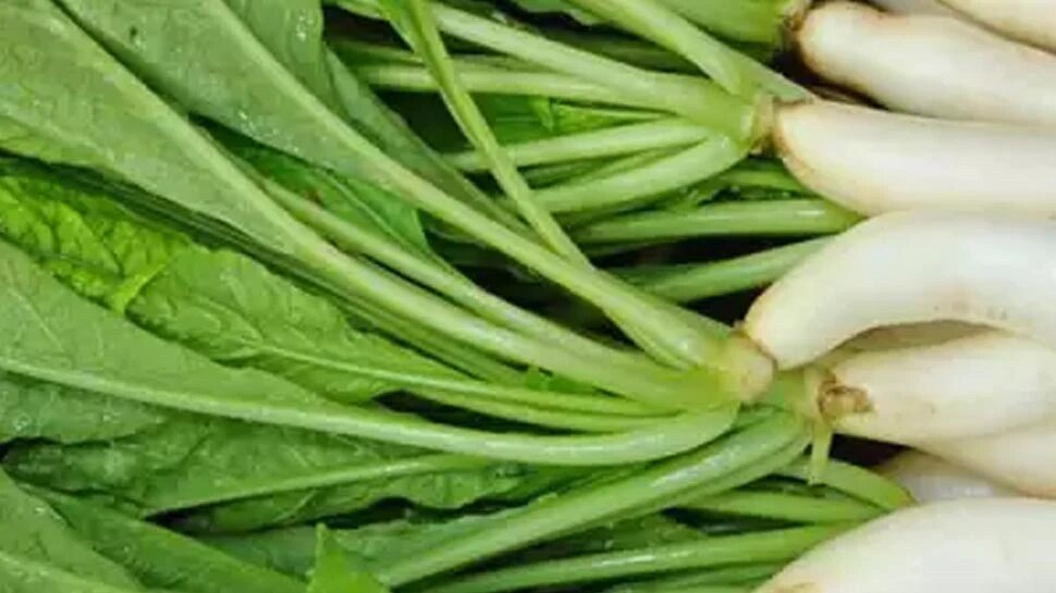 Radish Leaves radish leaves benefits diabetes arthritis piles Radish
