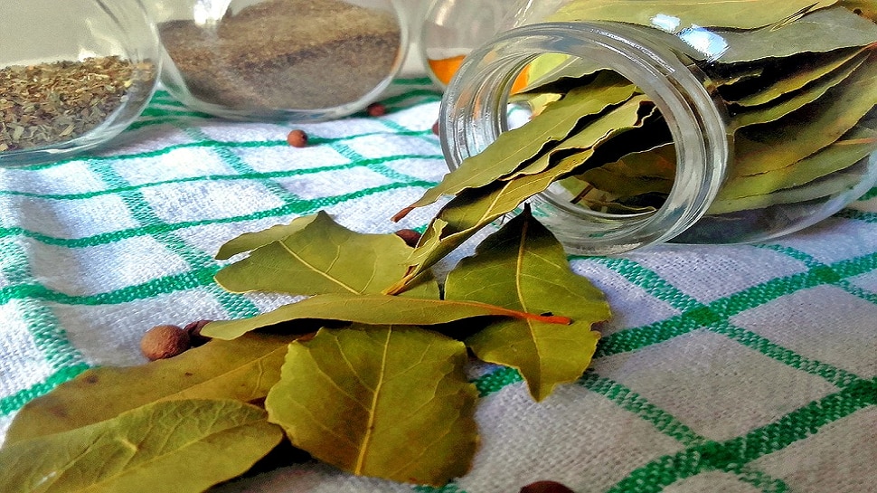 Bay Leaf in Diabetes can bay leaf help improve glucose levels in
