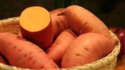 Sweet potatoes side-effects: ಗೆಣಸನ್ನು ಅತಿಯಾಗಿ ತಿನ್ನುವುದರಿಂದ ಆಗುವ ಅಡ್ಡಪರಿಣಾಮಗಳಿವು...