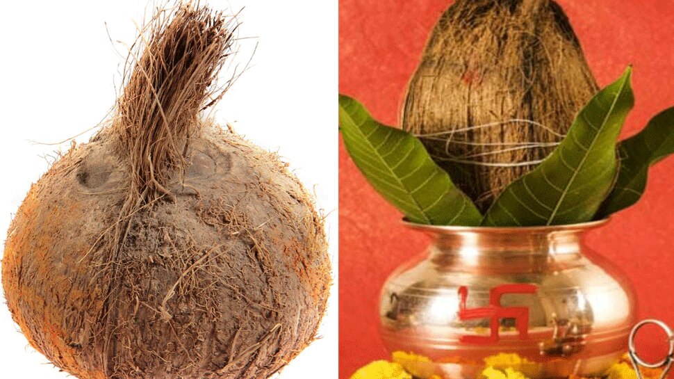 Coconut: ಪೂಜೆಗೆ ಬಳಸುವ ತೆಂಗಿನಕಾಯಿಯನ್ನು ಮಹಿಳೆಯರು ಏಕೆ ಒಡೆಯಬಾರದು? ಇಲ್ಲಿದೆ ಕಾರಣ 