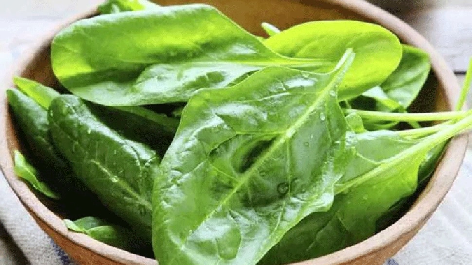 Spinach Side Effects: ಈ ಸಮಸ್ಯೆ ಇರುವವರಿಗೆ ಪಾಲಕ್ ಸೇವನೆ ತುಂಬಾ  ಅಪಾಯಕಾರಿ