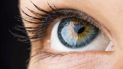 Eyes Secrets: ನಿಮ್ಮ ಕಣ್ಣುಗಳು ಕೂಡ ನಿಮ್ಮ ಆರೋಗ್ಯದ ಗುಟ್ಟನ್ನು ಹೇಳುತ್ತವೆ ಗೊತ್ತಾ? ಈ ಲಕ್ಷಣಗಳನ್ನು ಇಗ್ನೋರ್ ಮಾಡ್ಬೇಡಿ 