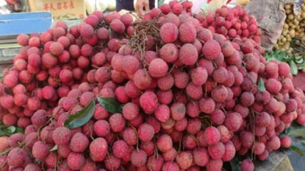 Must eat litchi Fruit in this summer 5 important benefits will be with weight loss Lychee