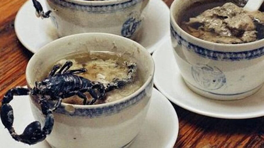 scorpion snake soup perfect for a hot summer day in china Scorpion ...