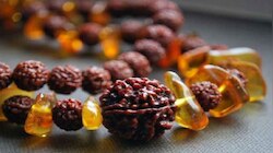 Rudraksha: ಯಾವಾಗ, ಯಾರು ರುದ್ರಾಕ್ಷಿಯನ್ನು ಧರಿಸಬಾರದು ಗೊತ್ತಾ 