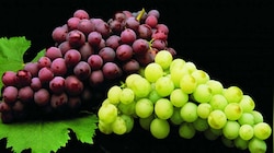 Grapes Benefits: ಬೇಸಿಗೆಯಲ್ಲಿ ತಿನ್ನಲೇಬೇಕು ದ್ರಾಕ್ಷಿ ಹಣ್ಣು, ಮಧುಮೇಹ ಸೇರಿದಂತೆ ಈ 5 ಸಮಸ್ಯೆಗಳಿಂದ ಸಿಗುತ್ತೆ ಪರಿಹಾರ 