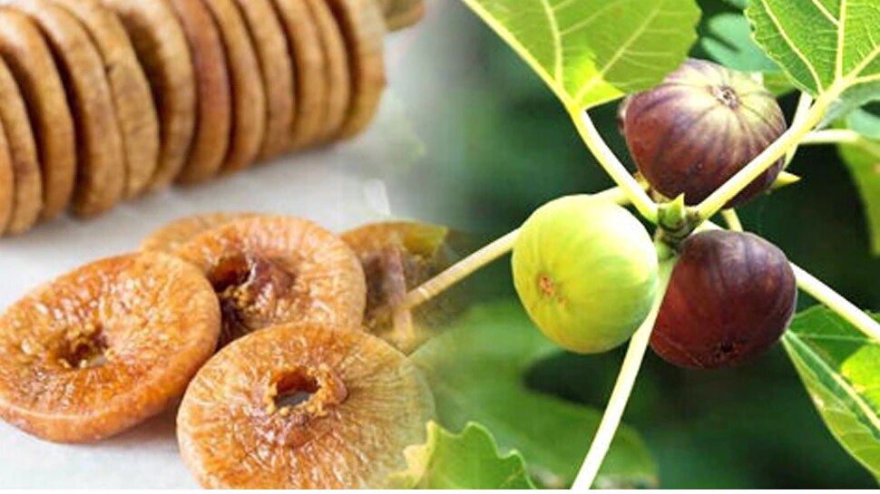 Soaked figs for bones eating method for also weight loss and relieve