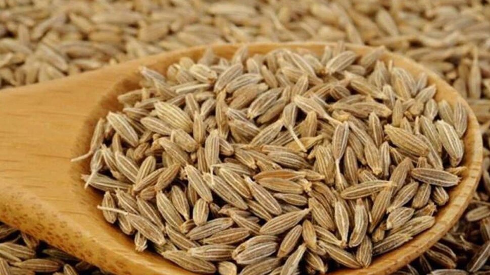 cumin prices may hike up 3035 percent as production expected to fall