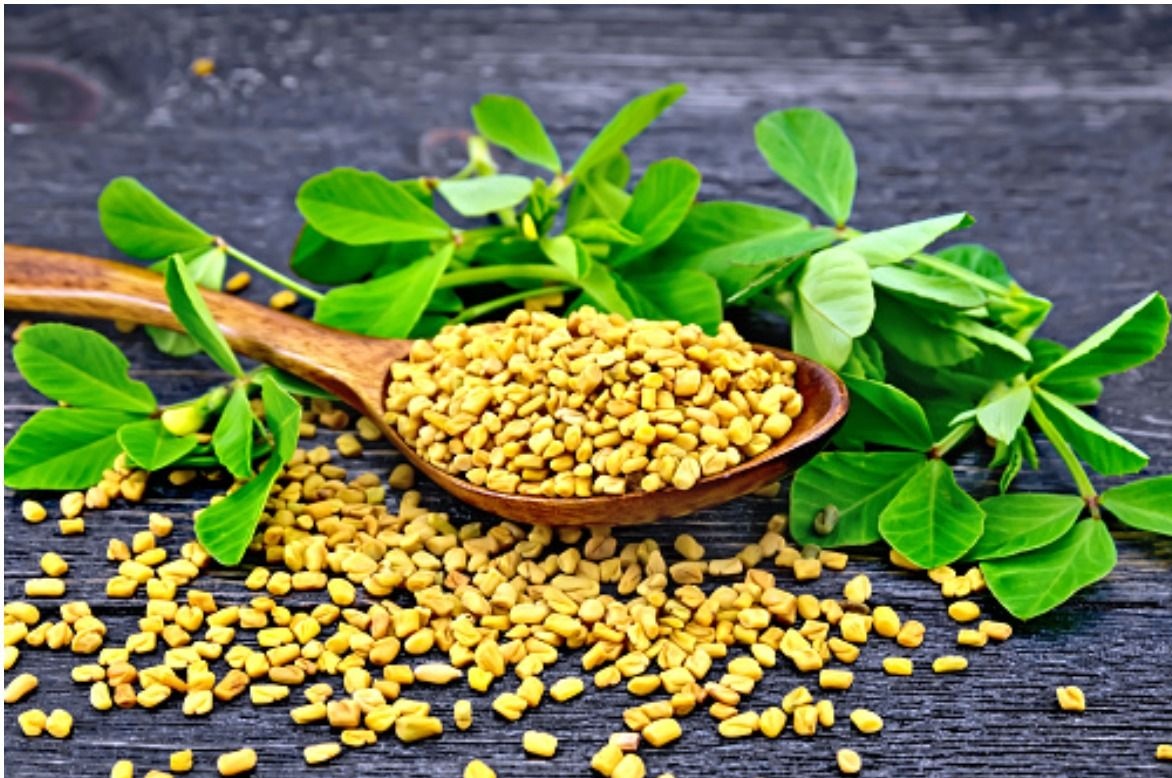 fenugreek-seeds-health-benefits-good-for-blood-sugar-control-muscle