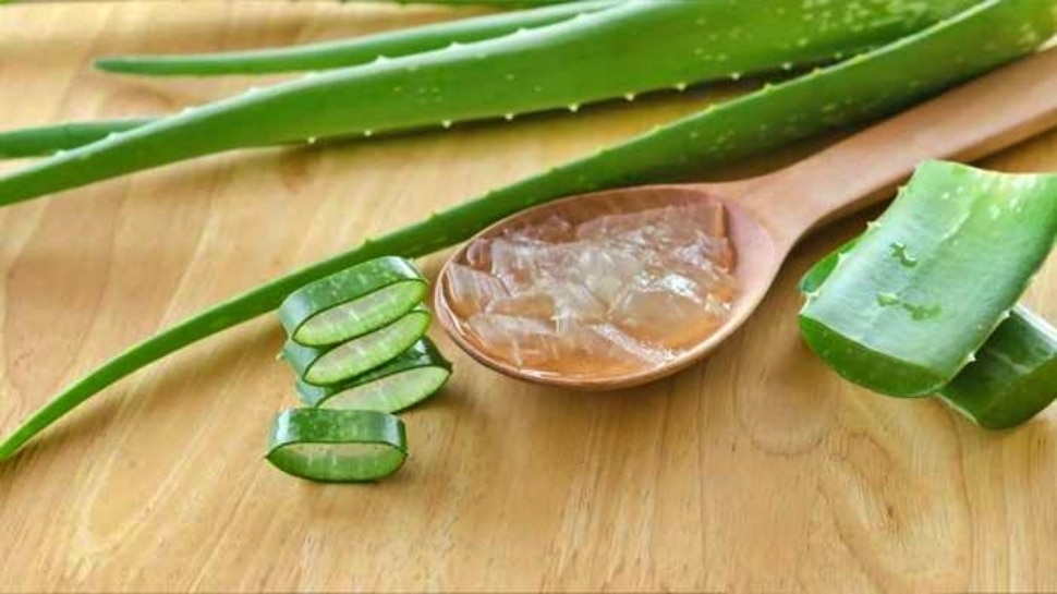 Aloe Vera Uses For Skin And Hair Health Aloe vera benefits ಚರ್ಮ