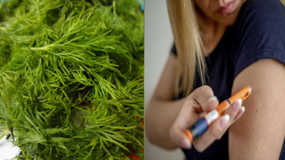 Dill Leaves helps to control blood sugar ಡಯಾಬಿಟೀಸ್ ನಿಯಂತ್ರಣಕ್ಕೆ ತರಲು