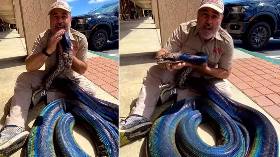 Trending Video: person found happy getting rainbow python then the ...