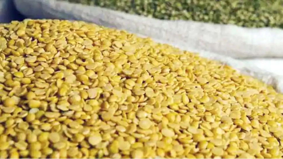 Pigeon pea causes slow poison in kidney and diabetes know when to avoid it side effects of