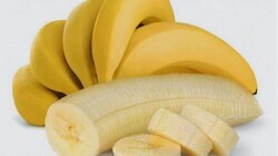 Banana Benefits : ಮಧುಮೇಹಿಗಳೇ ಪ್ರತಿದಿನ ತಪ್ಪದೆ ಸೇವಿಸಿ 1 ಬಾಳೆಹಣ್ಣು..!