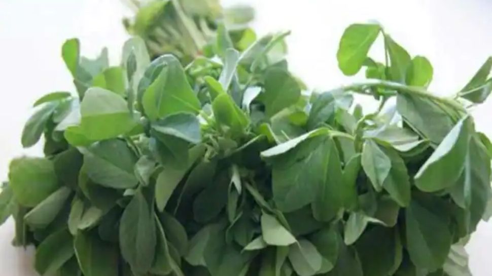 Fenugreek Leaf Benefits for health in winter ಚಳಿಗಾಲದಲ್ಲಿ ಆರೋಗ್ಯಕ್ಕೆ
