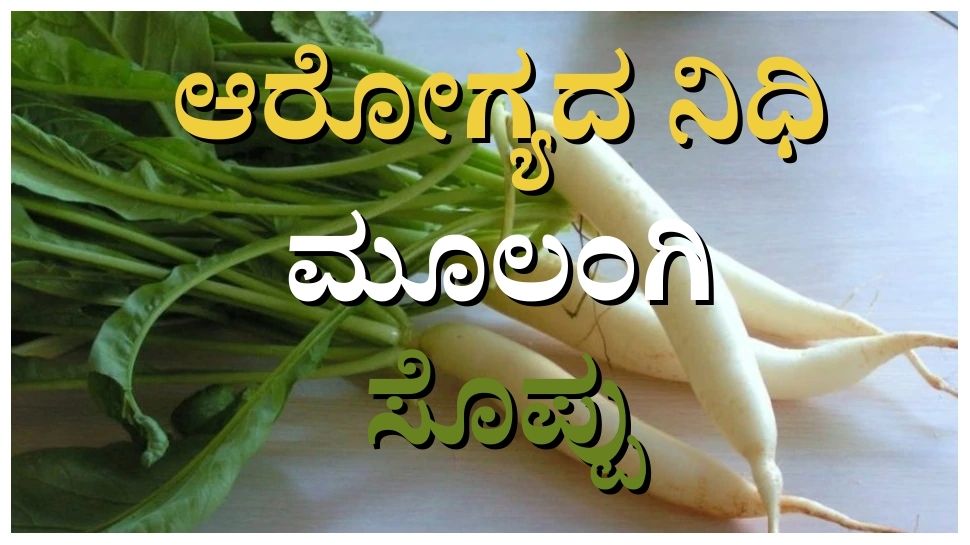 You can stya away from many diseases by consuming radish leaves ಈ