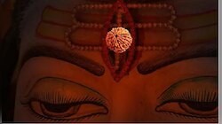 Rudraksha Benefit: ನವಗ್ರಹಗಳ ಅಶುಭ ಪ್ರಭಾವಗಳಿಂದ ರಕ್ಷಿಸುತ್ತದೆ ಈ ಅದ್ಭುತ ರುದ್ರಾಕ್ಷ