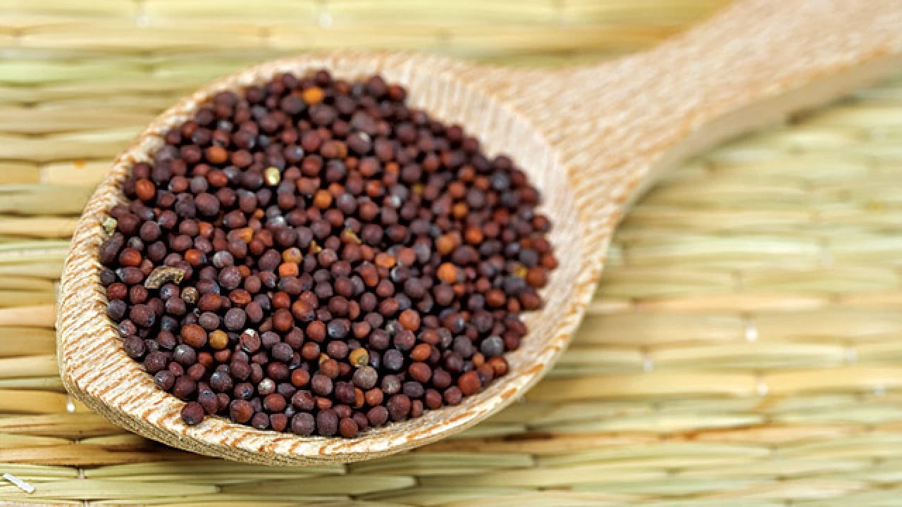 do you know these health benefits of mustard seeds Health Tips ಸಾಸಿವೆ ಕಾಳುಗಳ ಈ ಅದ್ಭುತ ಆರೋಗ್ಯಕರ