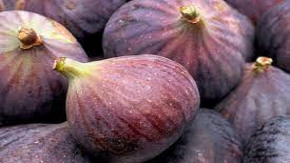 Eating Fig fruit on an empty stomach has amazing benefits Fig Benefits