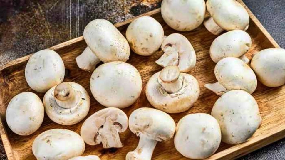 Benefits of eating mushrooms | ಅಣಬೆ ತಿನ್ನಿ ಈ 5 ಸಮಸ್ಯೆಗಳಿಗೆ ಗುಡ್‌ ಬೈ ಹೇಳಿ  Health News in Kannada