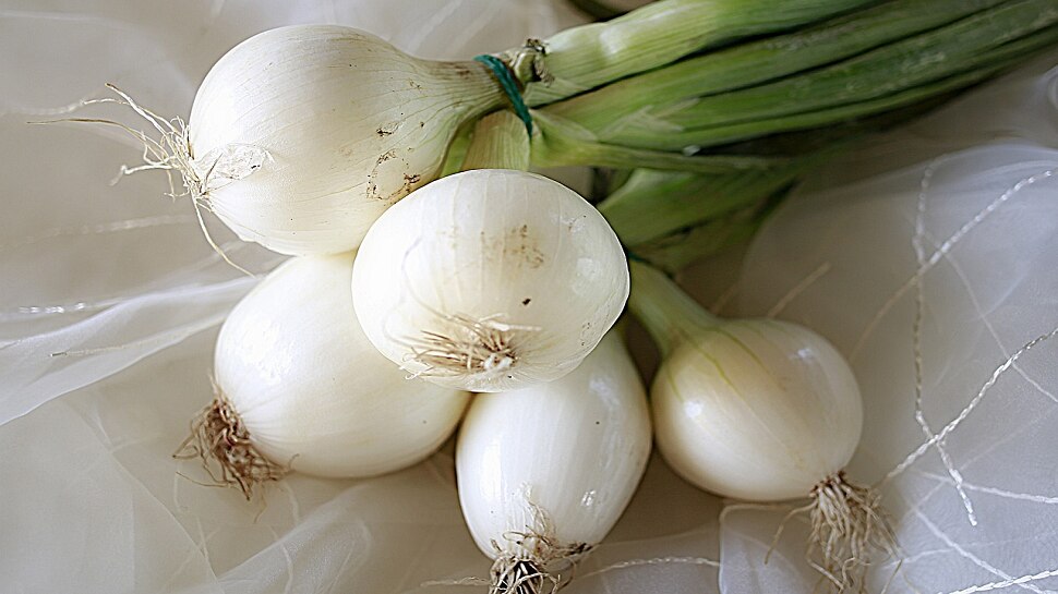 anti hairfall tip white onion benefits for hair fall and other health