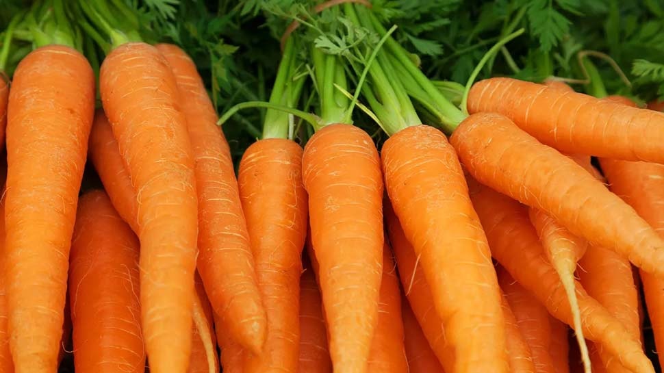 Carrot Health Benefits: ಚಳಿಗಾಲದಲ್ಲಿ ಕ್ಯಾರೆಟ್ ಸೇವಿಸುವುದರಿಂದ ಅಗಾಧ ಪ್ರಯೋಜನಗಳು