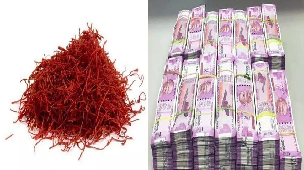 saffron remedy with these measures of saffron support of the