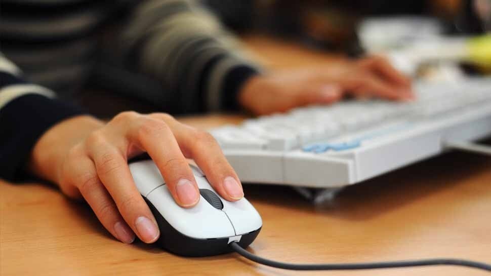 why is computer mouse called mouse earlier people were called turtle