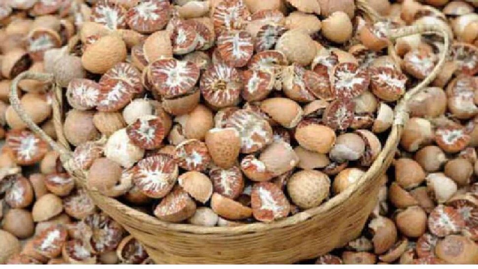 Arecanut today price in karnataka market: know the details 15th January ...