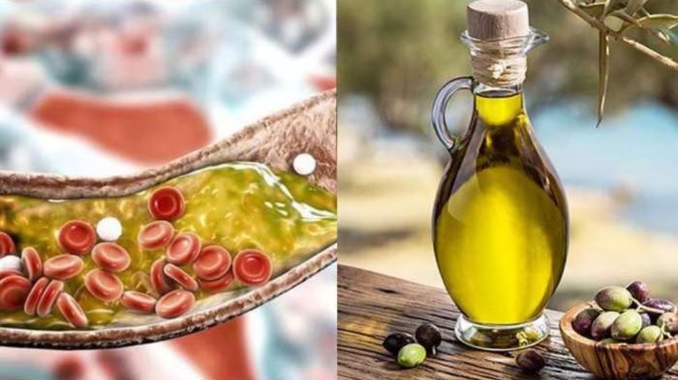 Healthy Cooking Oils To Reduce Bad Cholesterol ಕೆಟ್ಟ ಕೊಲೆಸ್ಟ್ರಾಲ್