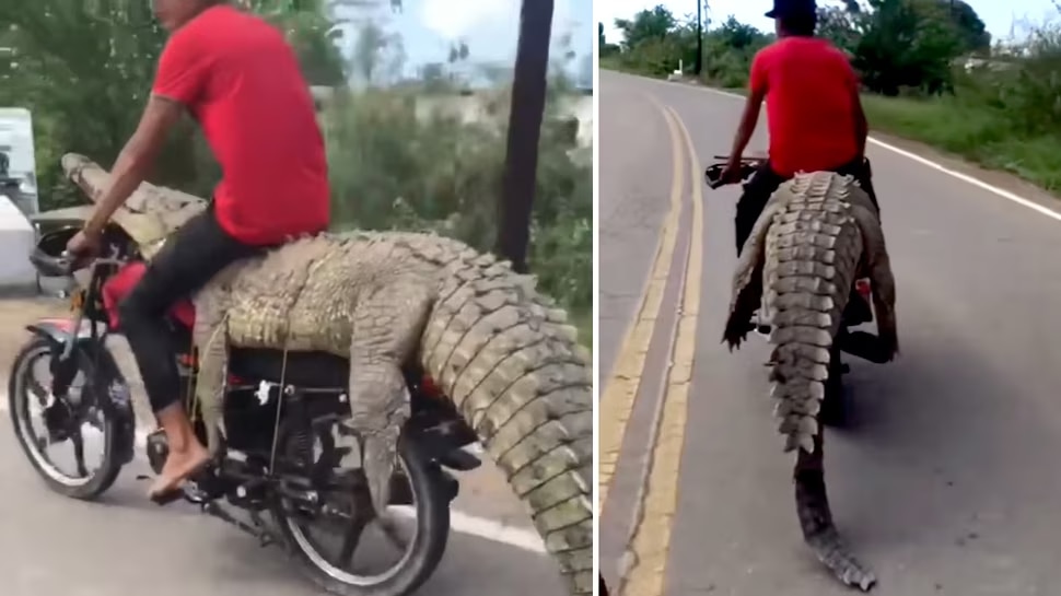 watch this dangerous video where youth is riding his bike with ...