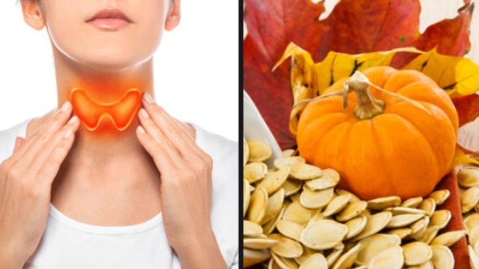Thyroid patients eat the pumpkin seeds Thyroid ಥೈರಾಯ್ಡ್ ಸಮಸ್ಯೆ ಇದೆಯಾ? ಕುಂಬಳಕಾಯಿ ಬೀಜವನ್ನು