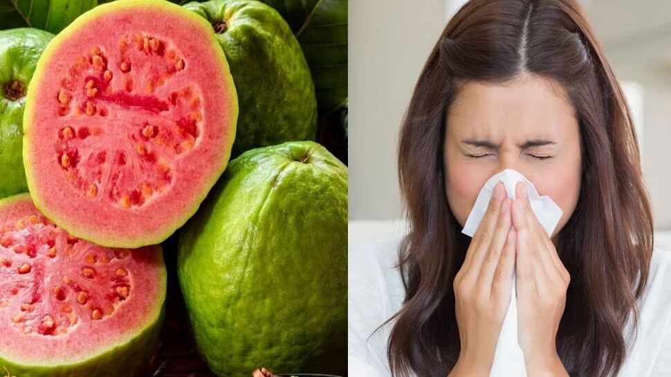 Do not consume guava fruit even if you have these 5 health problems ಈ