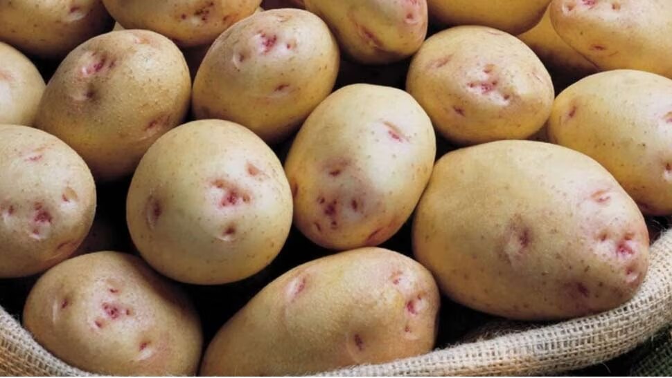 Potato side effect disadvantages of eating too much potato allergy arthritis diabetes high bp